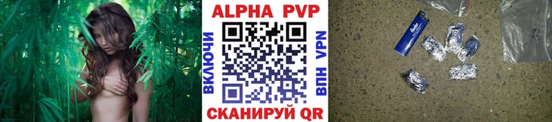 A PVP СК Вышний Волочёк
