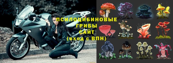 герыч Верхний Тагил