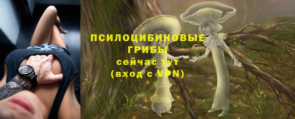 индика Верхнеуральск