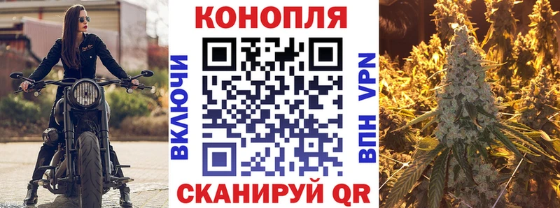 Канабис MAZAR Вышний Волочёк